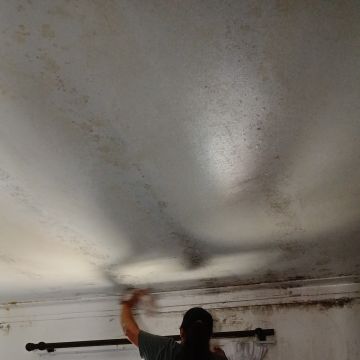 Vanessa - Pombal - Window Blinds Cleaning