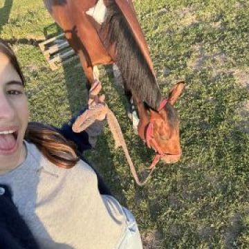Jeanne clavier - Almada - Cuidados y paseos de mascotas
