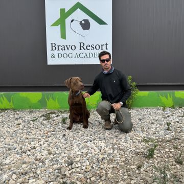 Bravoadestrador - Oeiras - Modificación del comportamiento animal