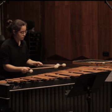 Aulas de Bateria/Percussão - Beatriz Magalhães - Aveiro - Aulas de Harmónica
