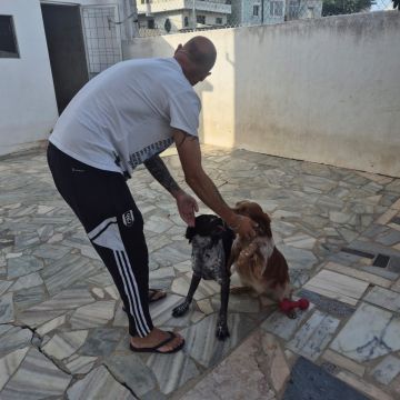 Ricardo Reis - Pet Care - Sintra - Garde de chiens