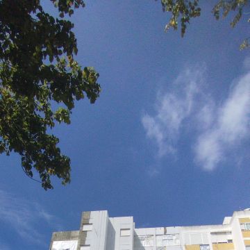 AF Reformas e Pinturas - Setúbal - Dachreinigung