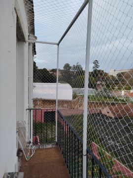Saldanha Redes de Proteção - Lisboa - Dog Fence Installation