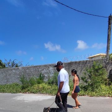 Rodrigo dos Santos - Figueira da Foz - Dog Walking