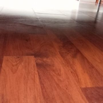 Isabel - Seixal - House Cleaning (Recurring)