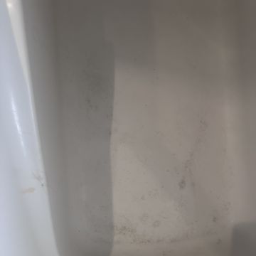 Lalesca Rodrigues - Lisboa - Trabajo Domestico