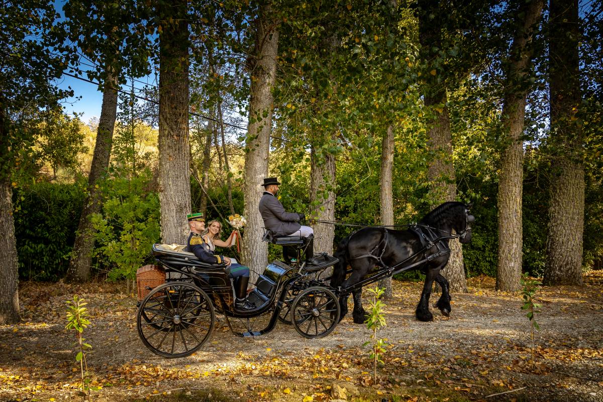 Manuel Pinto | Produções Audiovisuais - Vila Real - Fotografia de Imóveis