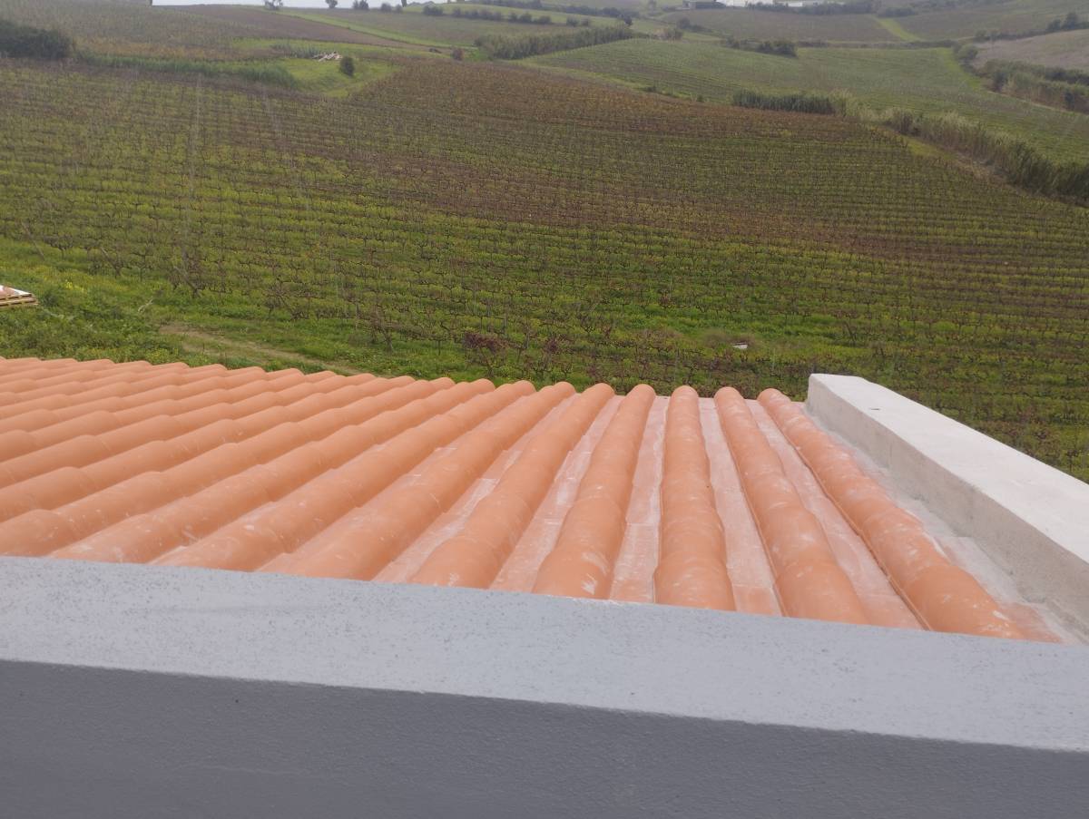 Luís Construções e Remodelações - Lisboa - Lawn Mowing and Trimming