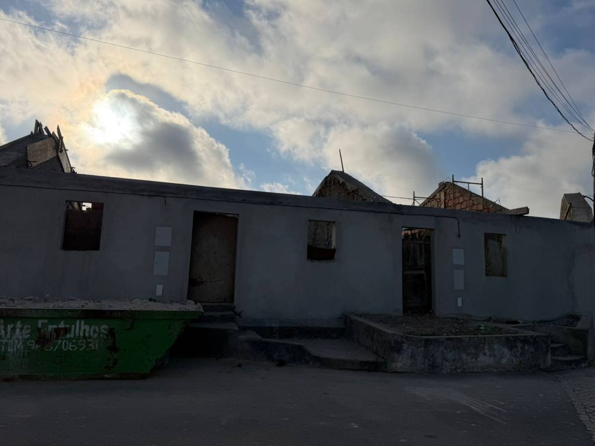 Luís Construções e Remodelações - Lisboa - Controlo de Pragas