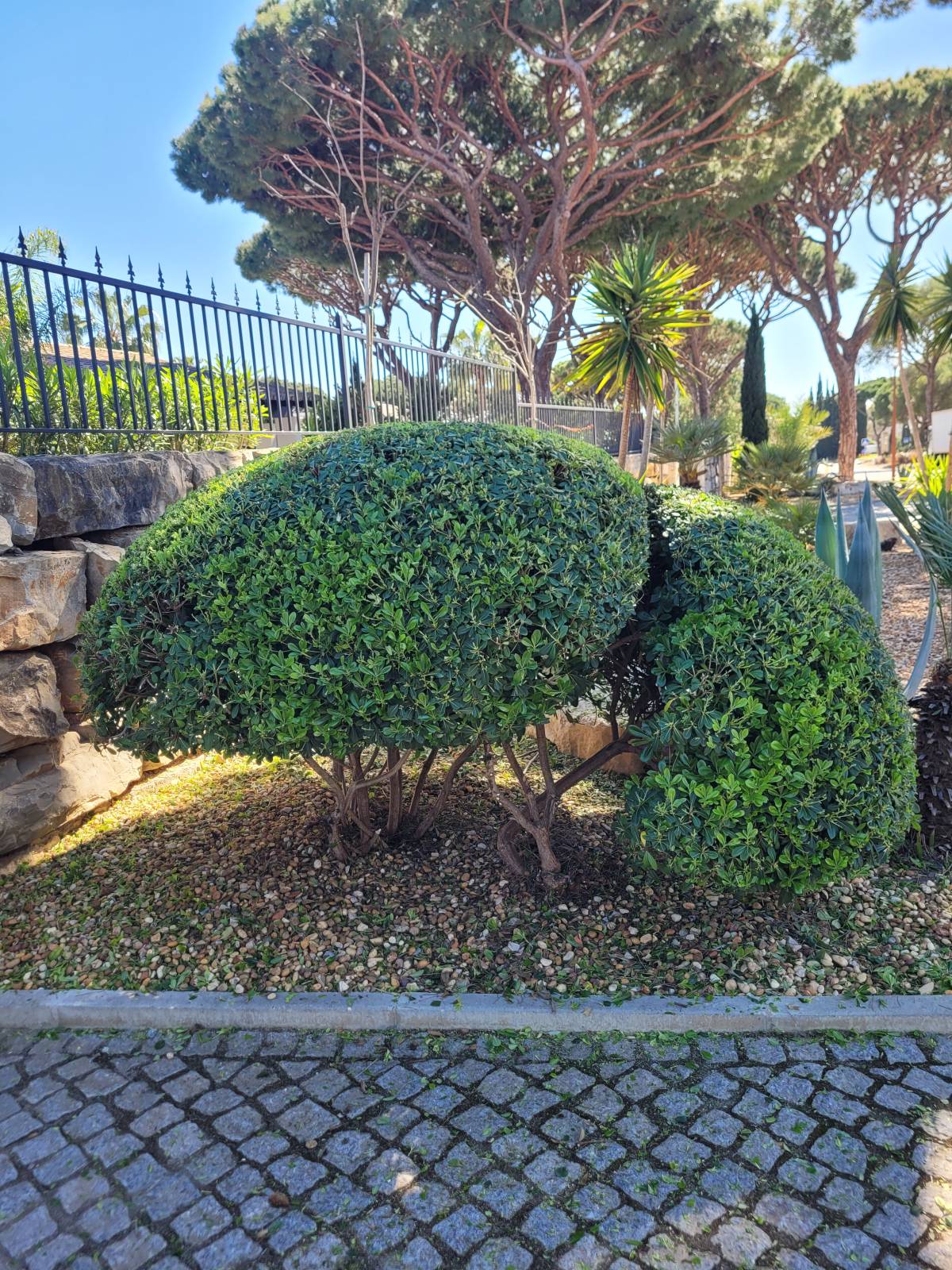 Clean Garden - Loulé - Désherbage