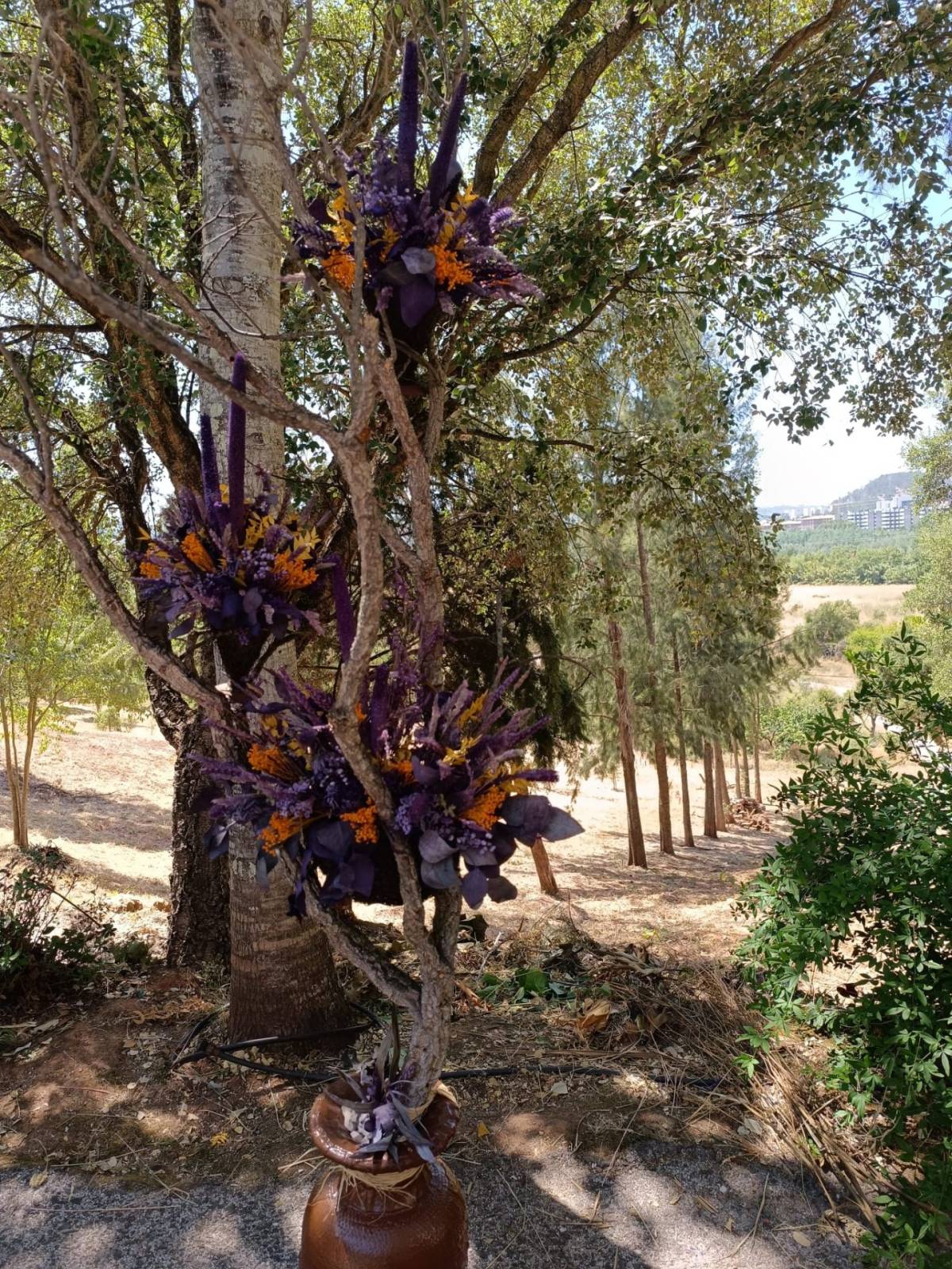 RosMary - Coimbra - Florist für Veranstaltungen