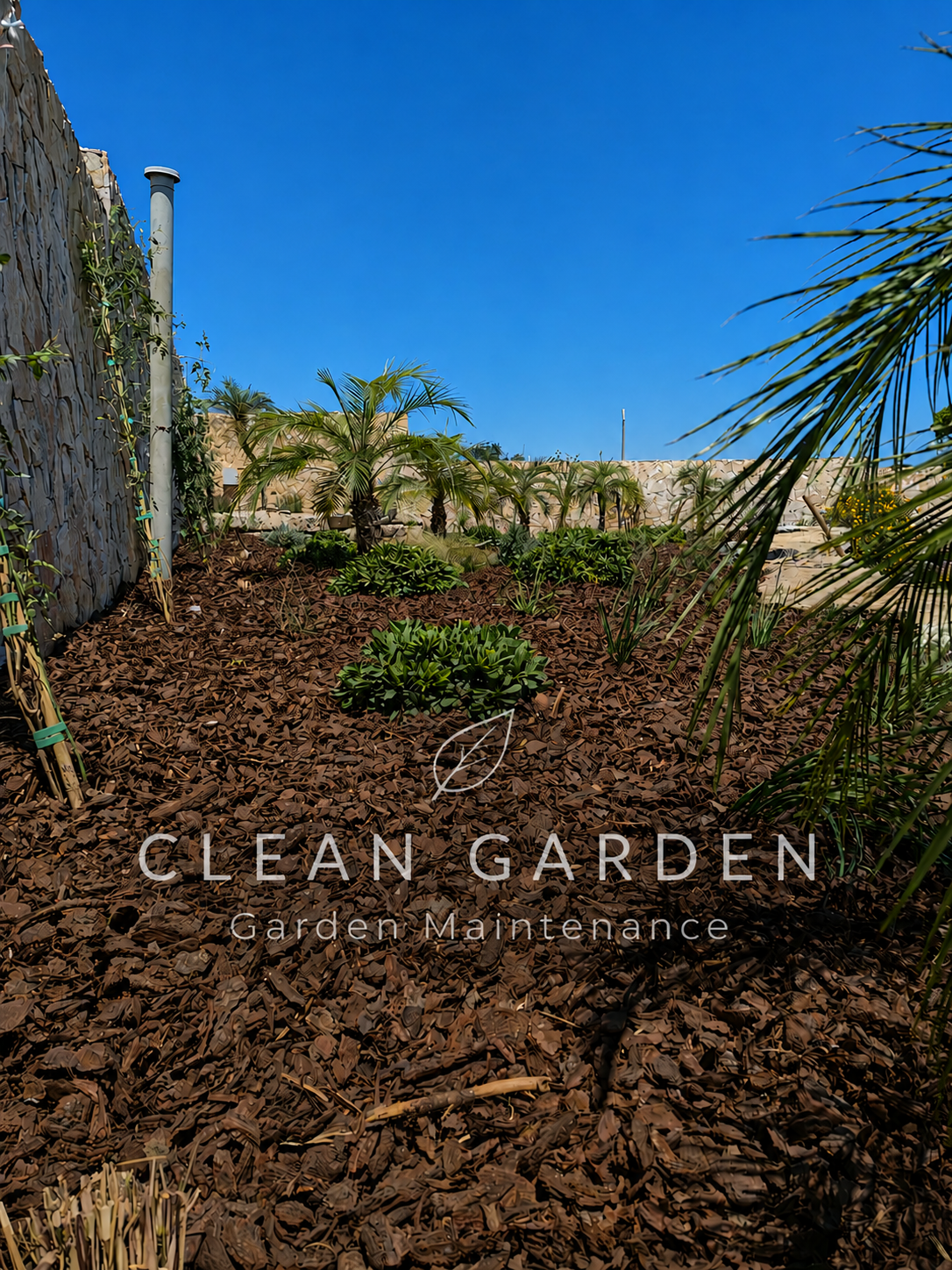 Clean Garden - Loulé - Élagage et entretien des arbres