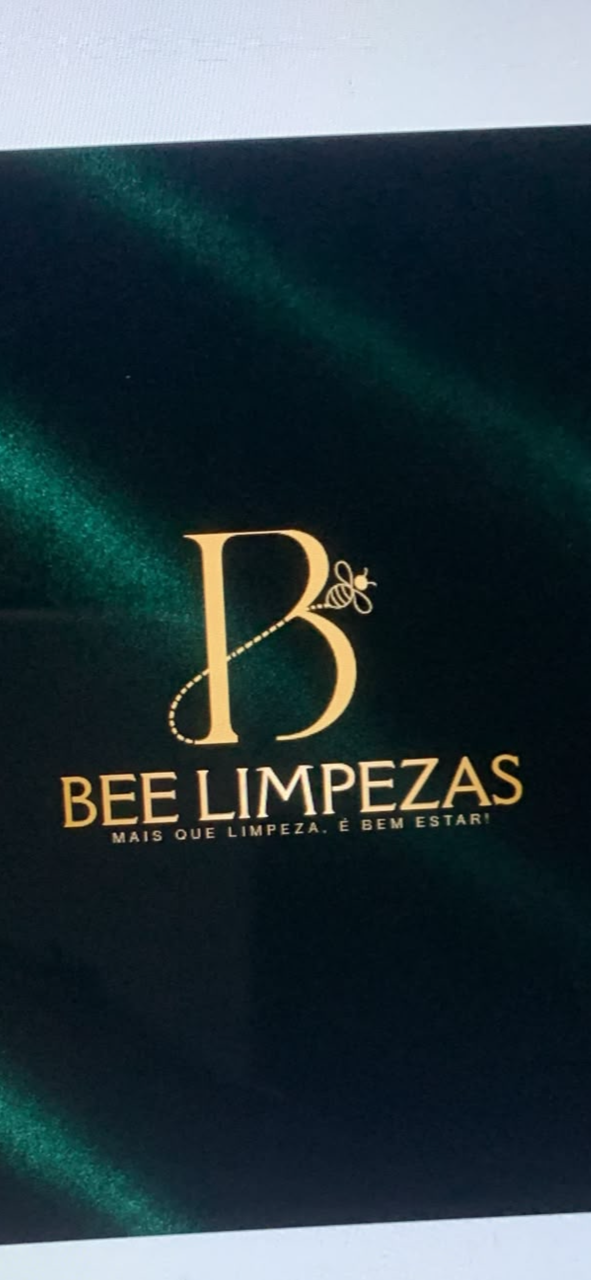 BEE LIMPEZAS - Seixal - Grundstücksreinigung