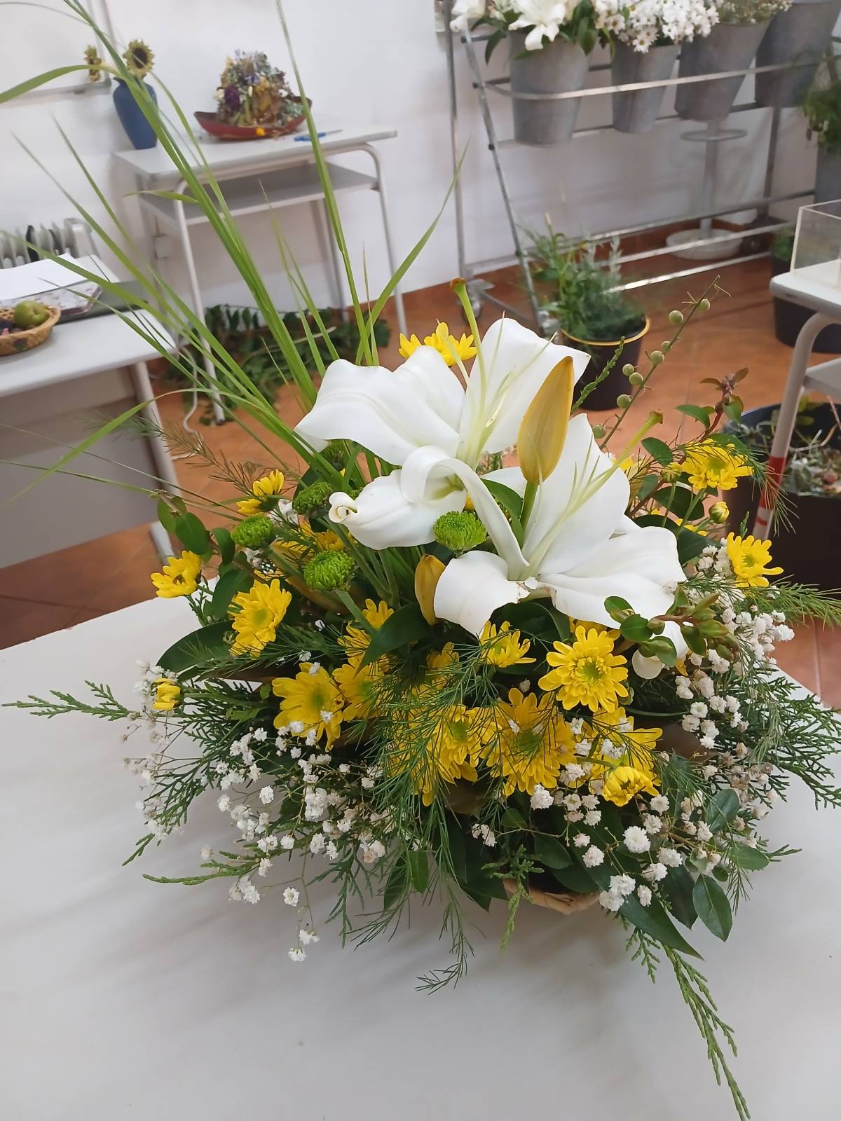 RosMary - Coimbra - Blumenhändler