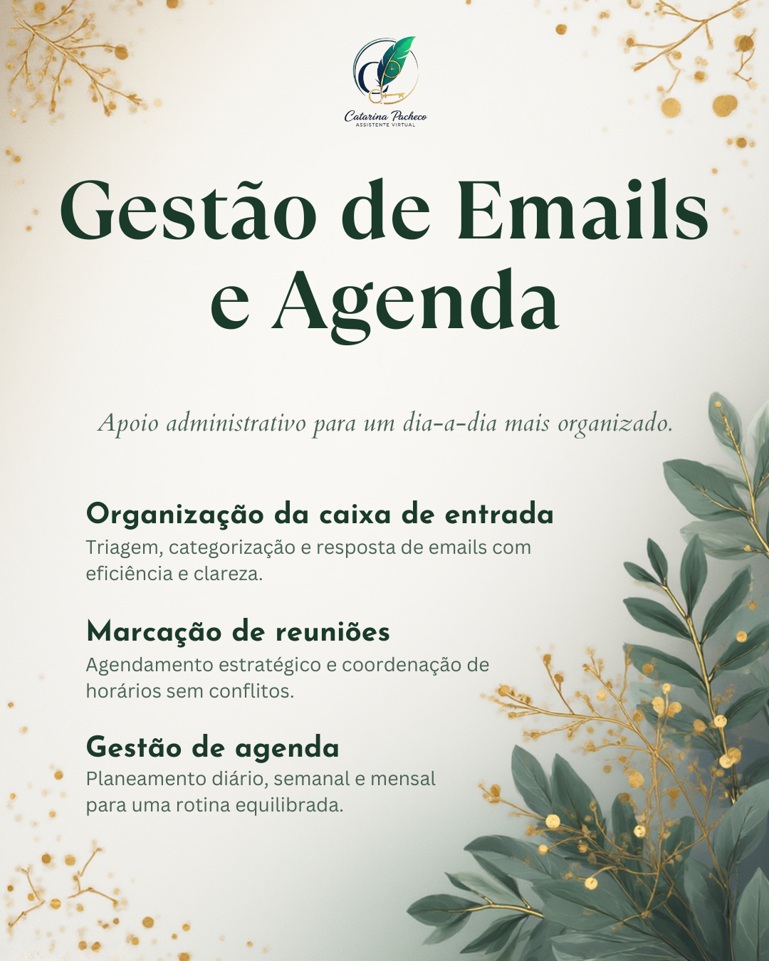 Catarina Pacheco Assistente Virtual - Maia - Entrada de datos