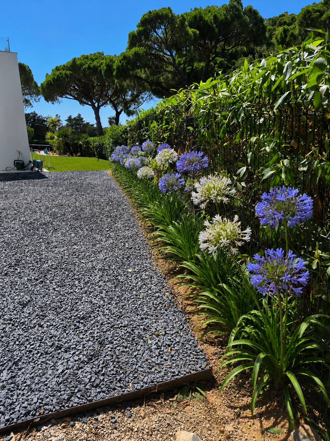 Clean Garden - Loulé - Nettoyage de terrains