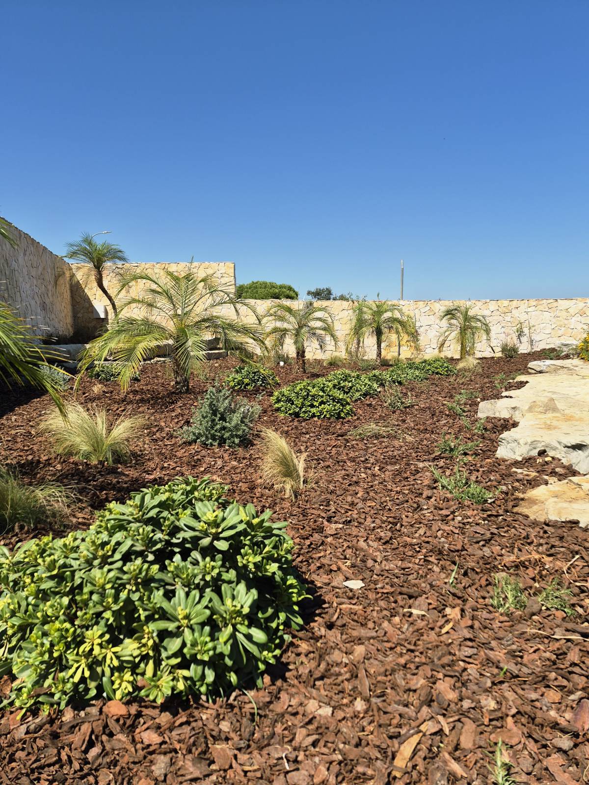 Clean Garden - Loulé - Serres