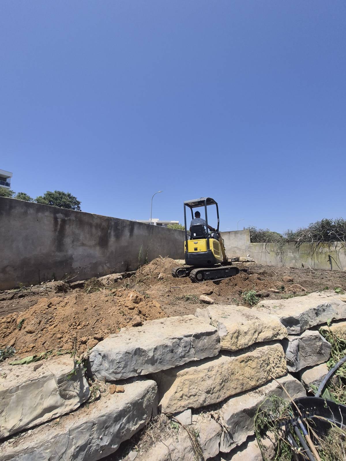 Clean Garden - Loulé - Enlèvement de souches d’arbres