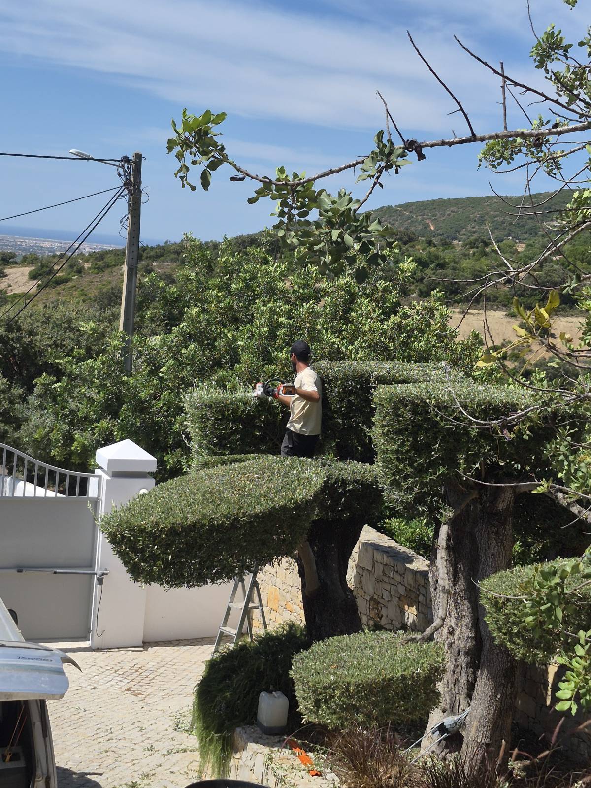 Clean Garden - Loulé - Pose de gazon en rouleaux