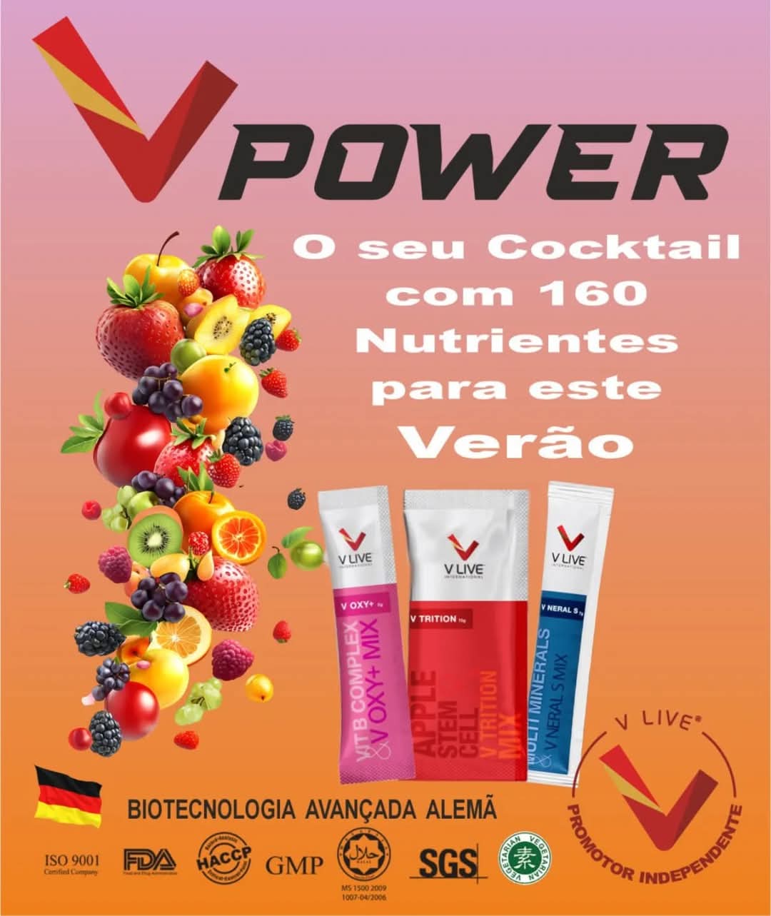 Mário Cardoso de Oliveira - Loures - Calificación energética de viviendas