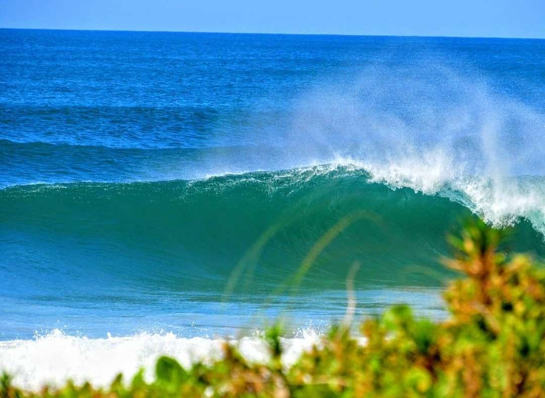 Felipe Sanguinetti - Seixal - Video Editing