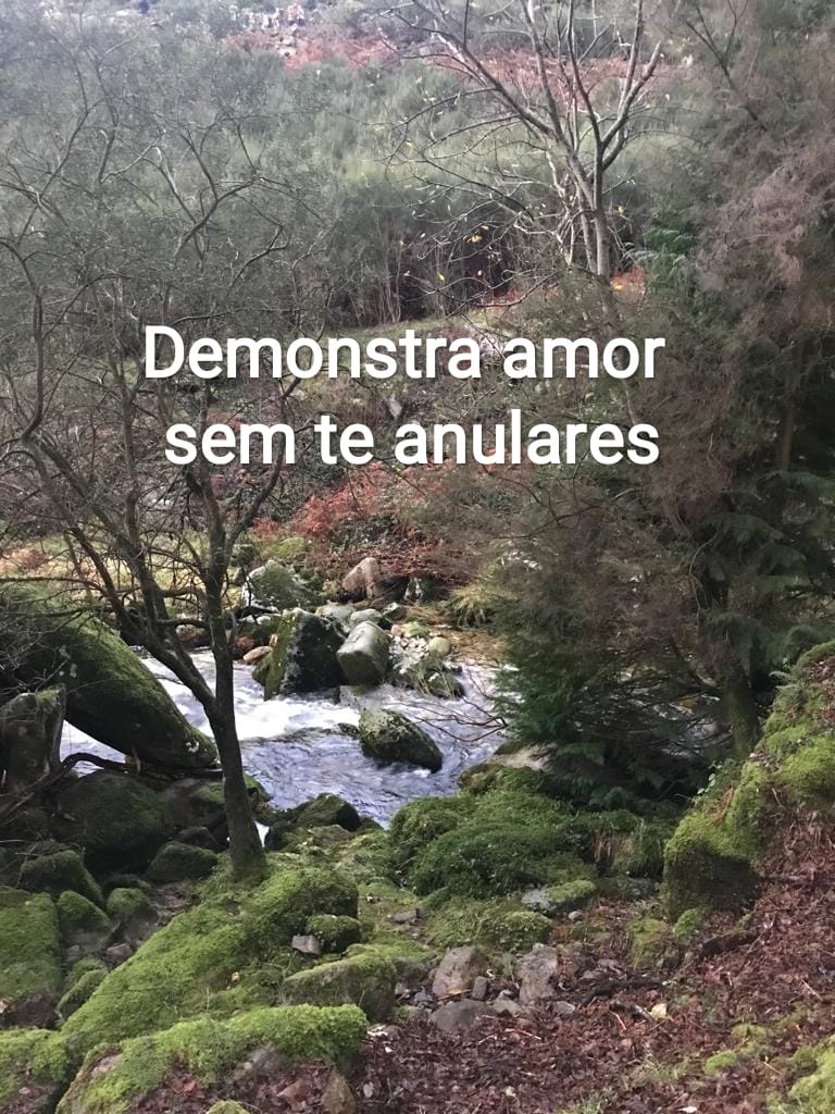 Rosária Resende de Terapias da Corujinha - Ponte de Lima - Hypnosetherapie
