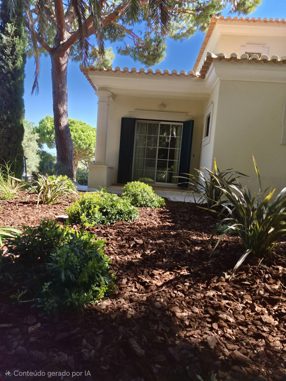 Clean Garden - Loulé - Élagage et entretien des arbres