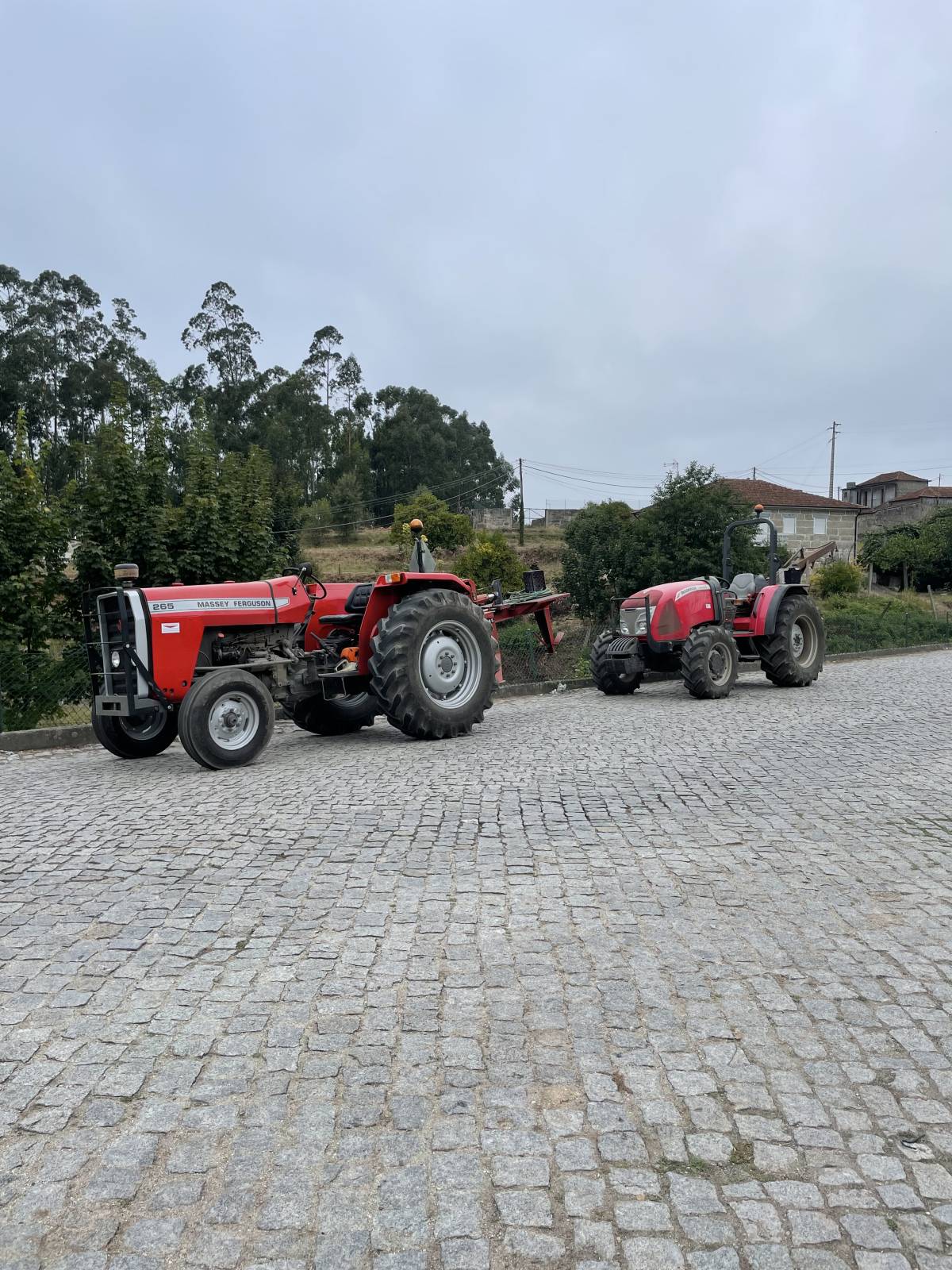 MACCunha FlorestAgric - Penafiel - Baumpflege