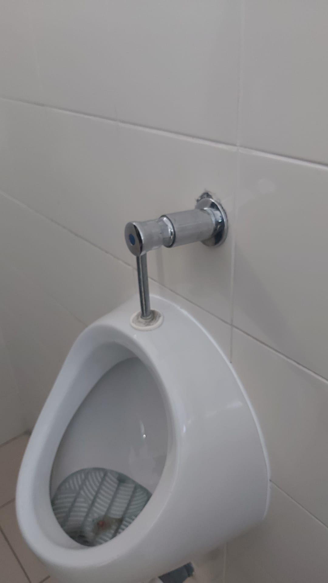 Ivan faria - Amadora - Tile Repair