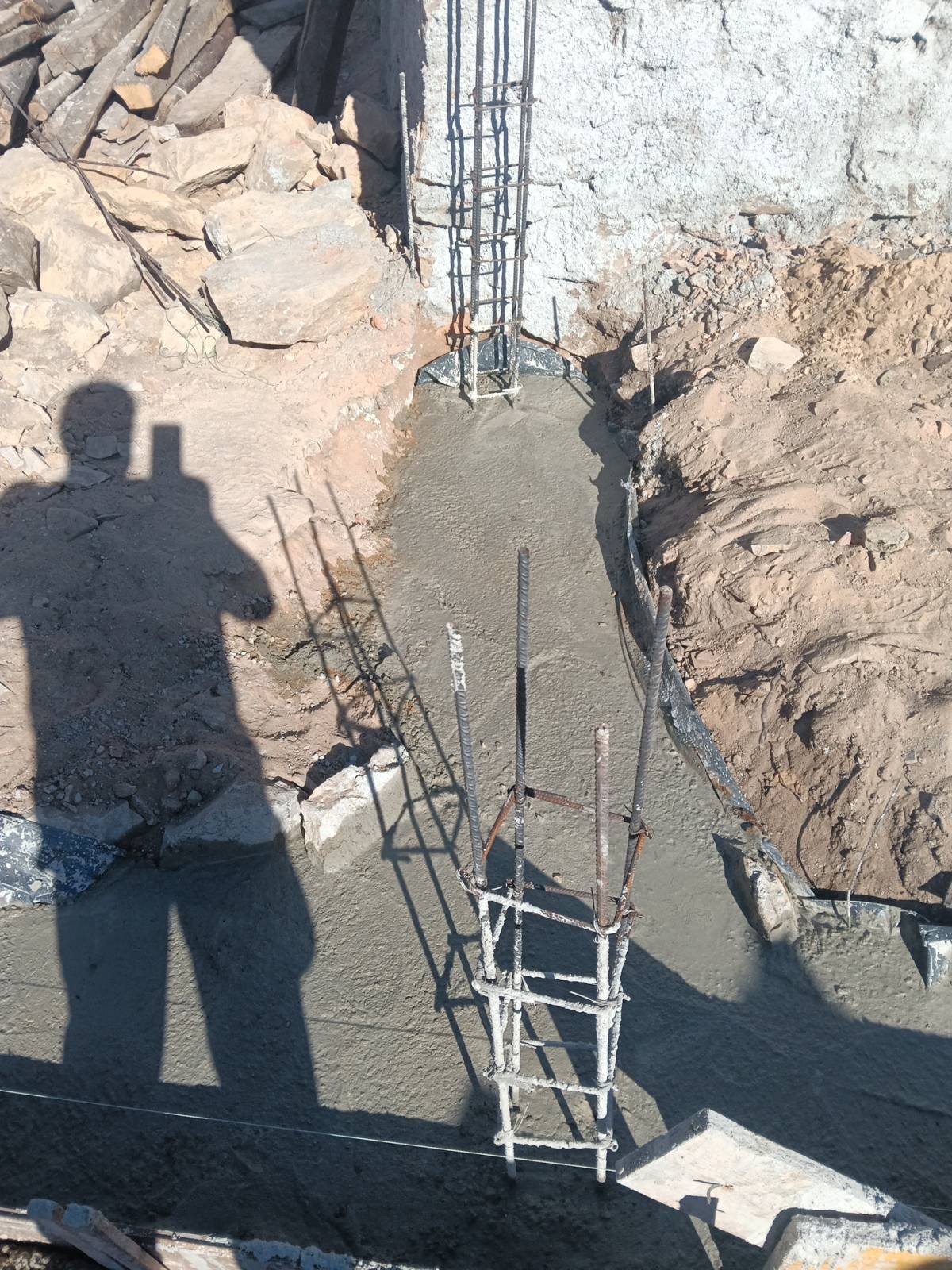 Luís Construções e Remodelações - Lisboa - Poda e Manutenção de Árvores