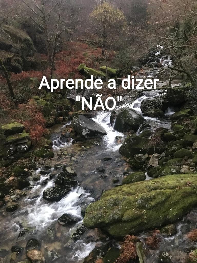Rosária Resende de Terapias da Corujinha - Ponte de Lima - Bowen-Therapie