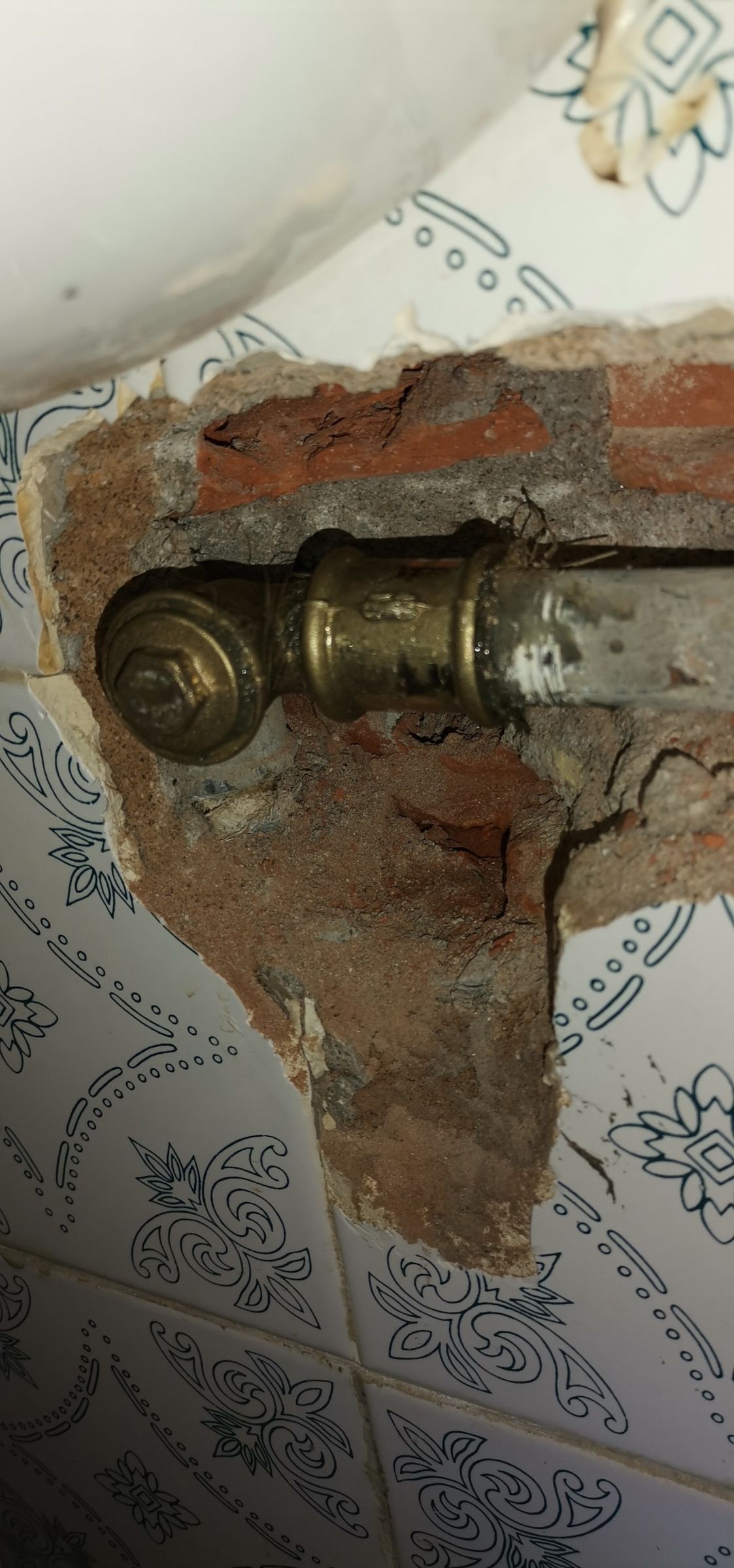 Ivan faria - Amadora - Plumbing Pipe Installation