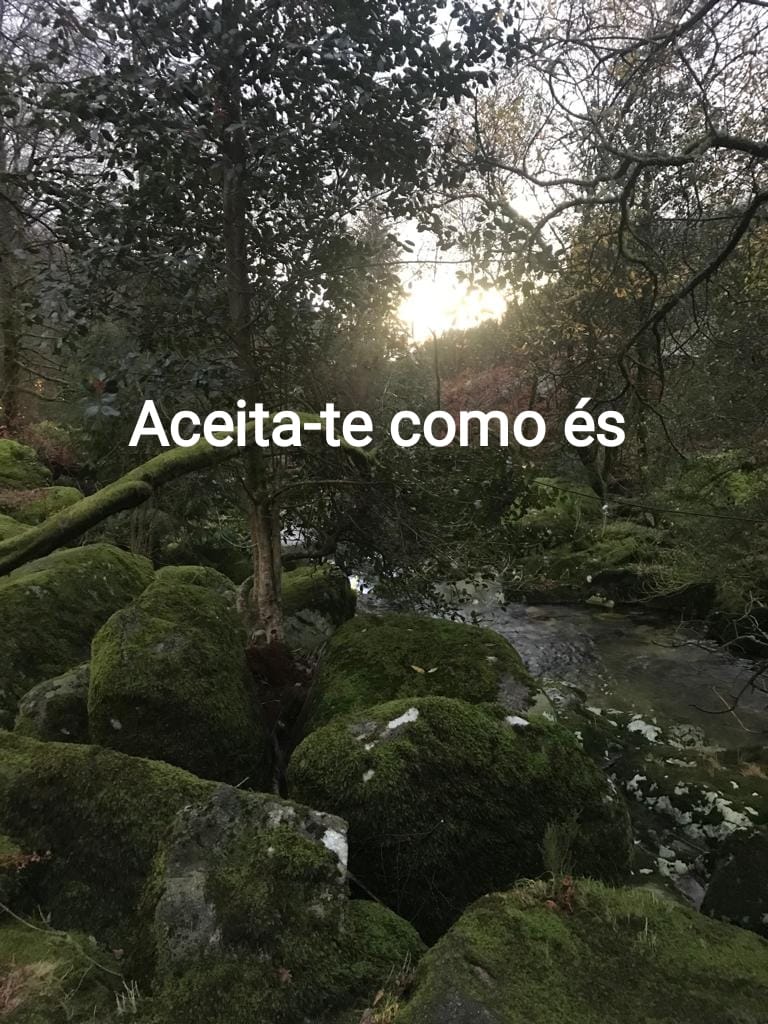 Rosária Resende de Terapias da Corujinha - Ponte de Lima - Alternative Heilmethoden und Hypnosetherapie