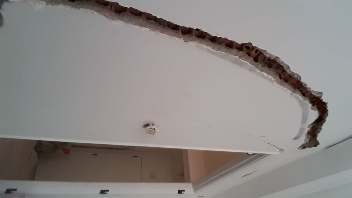 Ivan faria - Amadora - Sump Pump Installation or Replacement