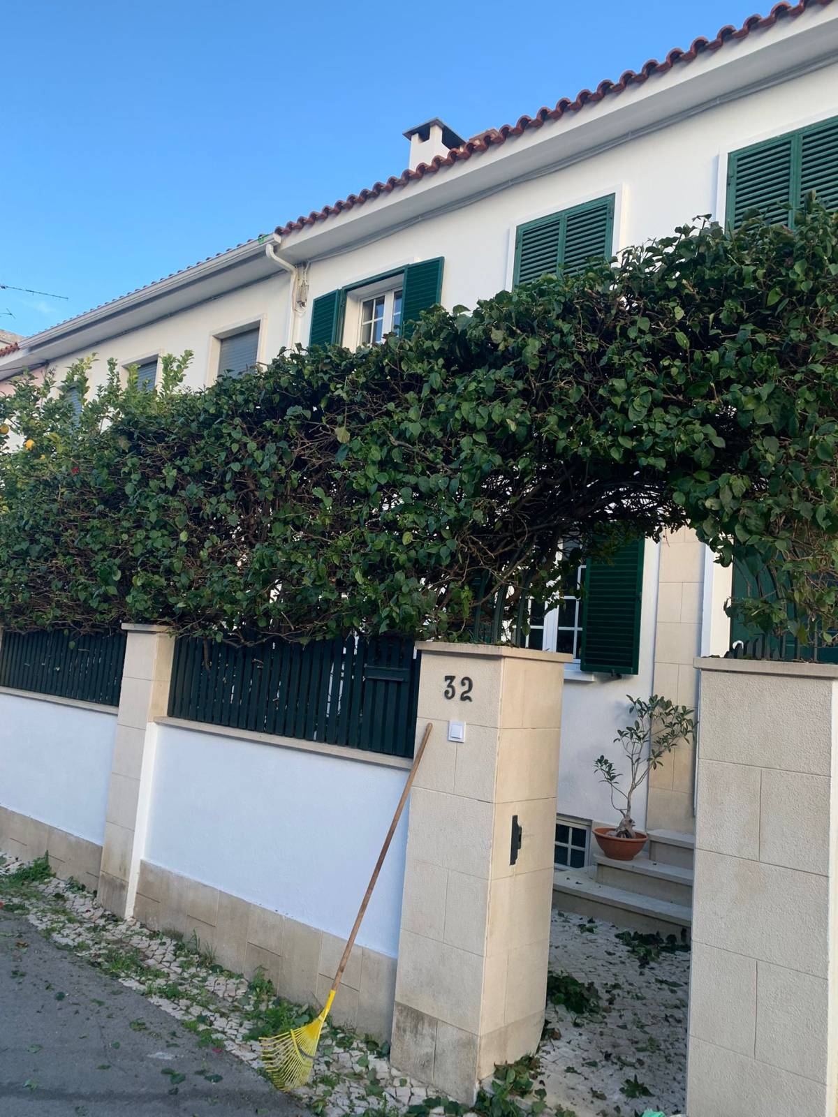 RB_jardinagem - Loures - Corte e Aparação de Relvado