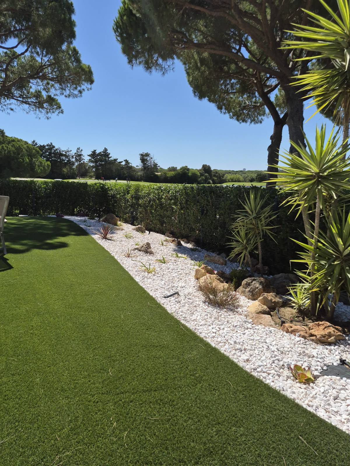 Clean Garden - Loulé - Plantation d’arbres