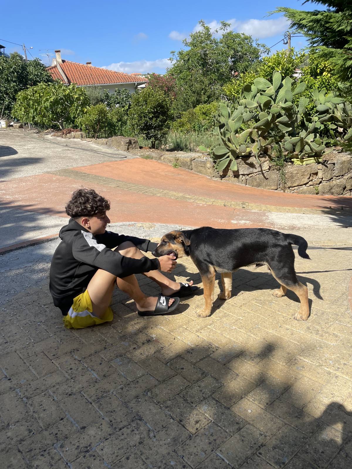 Rafinha - Lisboa - Pet Sitting