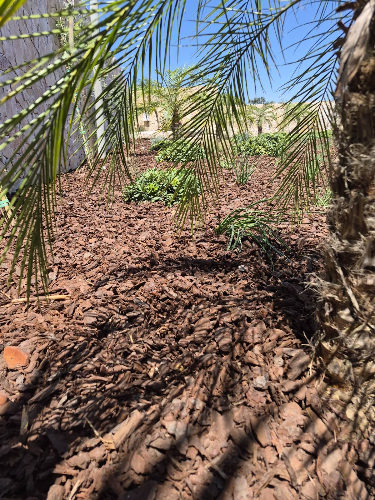 Clean Garden - Loulé - Pose de gazon synthétique