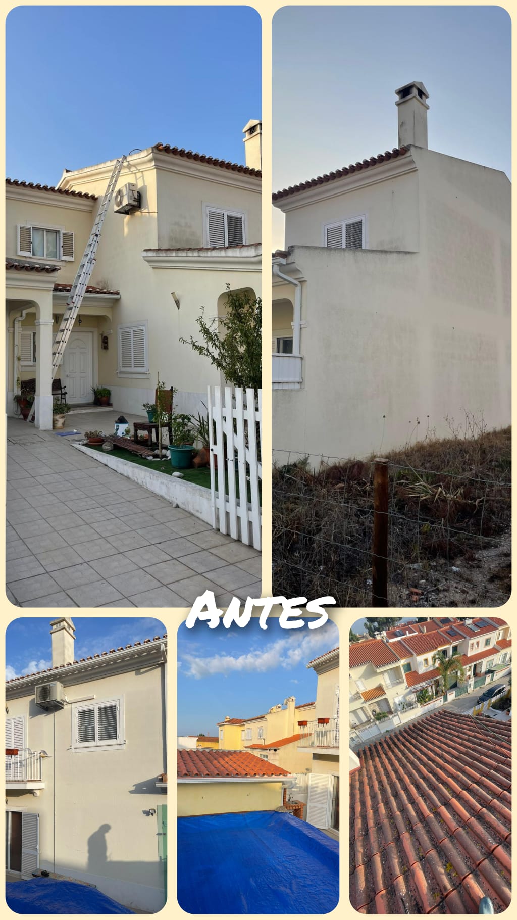 Alves - Seixal - Grundstücksreinigung