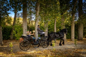 Manuel Pinto | Produções Audiovisuais - Vila Real - Fotografia de Imóveis
