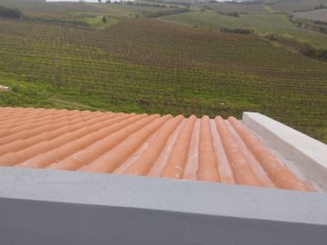 Luís Construções e Remodelações - Lisboa - Lawn Mowing and Trimming