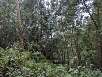 Jardinagem e Relvados