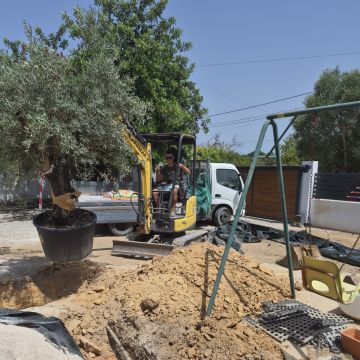 Clean Garden - Loulé - Enlèvement d'arbustes