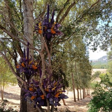RosMary - Coimbra - Florist für Veranstaltungen