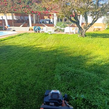 RB_jardinagem - Loures - Nivelação de Terreno - Grande Dimensão (mais de 1 hectar)