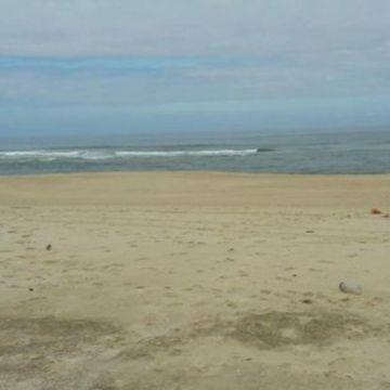 Pet Lover do Mondego - Figueira da Foz - Pet Sitting