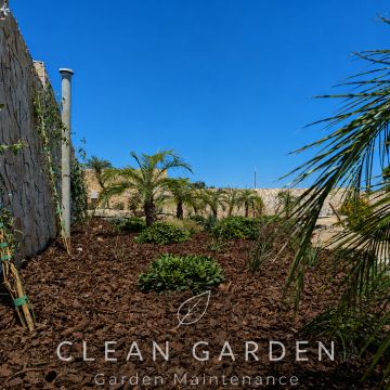 Clean Garden - Loulé - Élagage et entretien des arbres