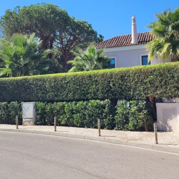 Clean Garden - Loulé - Jardinage