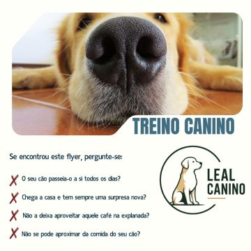 Bruna Mendes| Leal Canino - Sintra - Adiestramiento de perros - Clases privadas