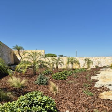 Clean Garden - Loulé - Serres